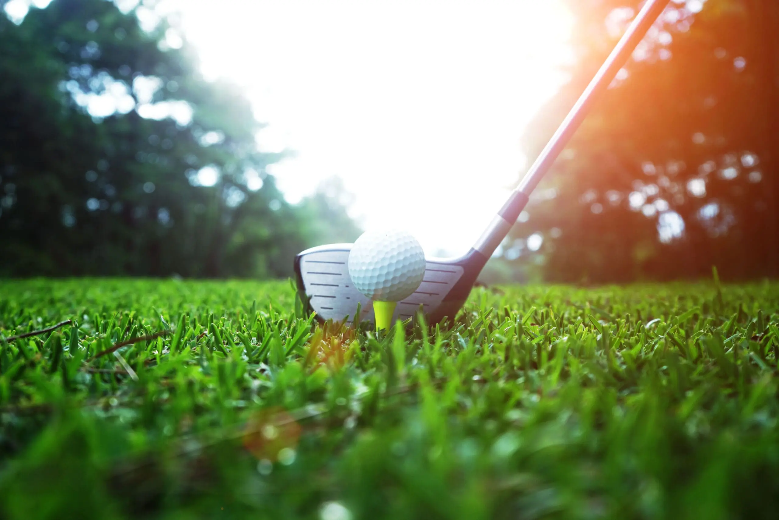 Golf Tournament Main Header Golf Tournament Main Header
